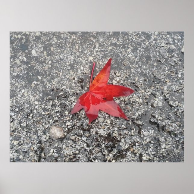 Poster Arrière - plan de zoom du bureau de la feuille rou (Devant)