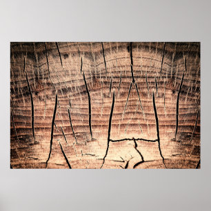 Poster arrière - plan d'un stumpabstract en bois, âge, vi