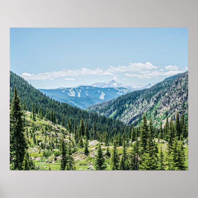 Poster Arrière - plan Forêt Dense // Ski Resort (Devant)