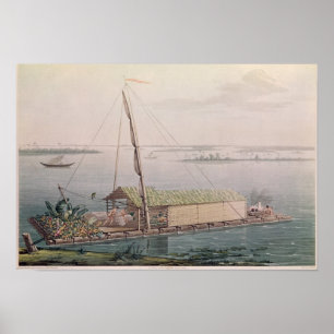 Poster Arrondi sur le fleuve Guayaquil