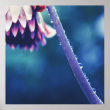 Arrosage Abstrait sur la macro de tige de fleur