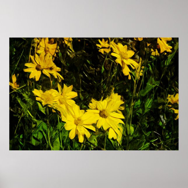 Poster Arrowleaf Fleur sauvage Jaune Arrowley Abstrait (Devant)