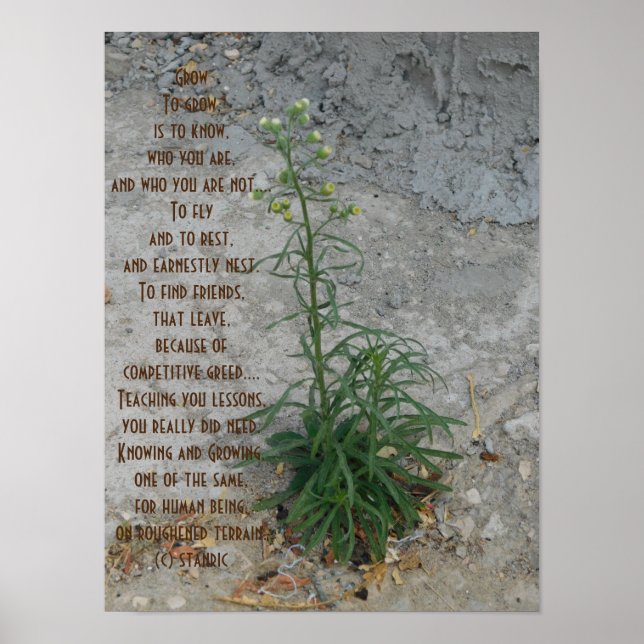 POSTER ART AND DESIGN STYLE  (Front)