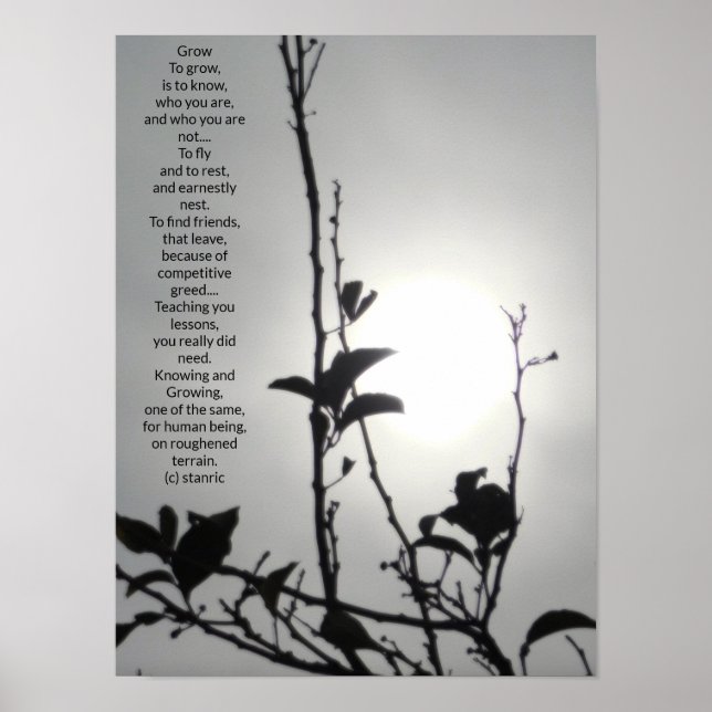 POSTER ART AND DESIGN STYLES  (Front)