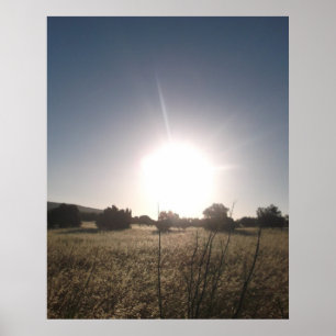 POSTER ART AND DESIGN STYLES