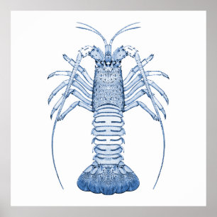 Poster Art aquatique ~ Homards