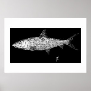 Poster Art Bonefish Scratch
