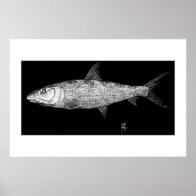 Poster Art Bonefish Scratch (Devant)
