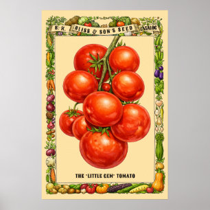 Poster Art Botanique de Tomates à l'Ère Victorienne Rétro