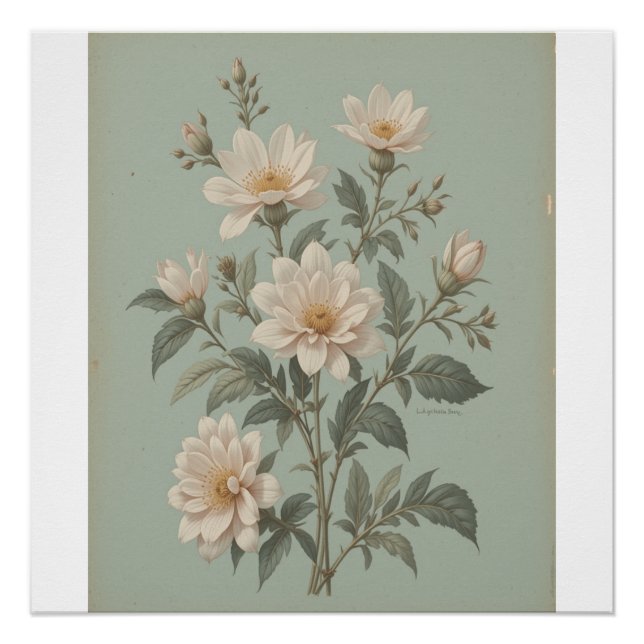 Poster Art botanique vintage (Devant)