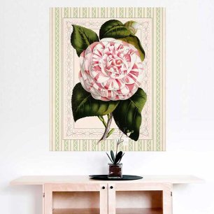 Poster Art Botanique Vintage Camellia Design frappant