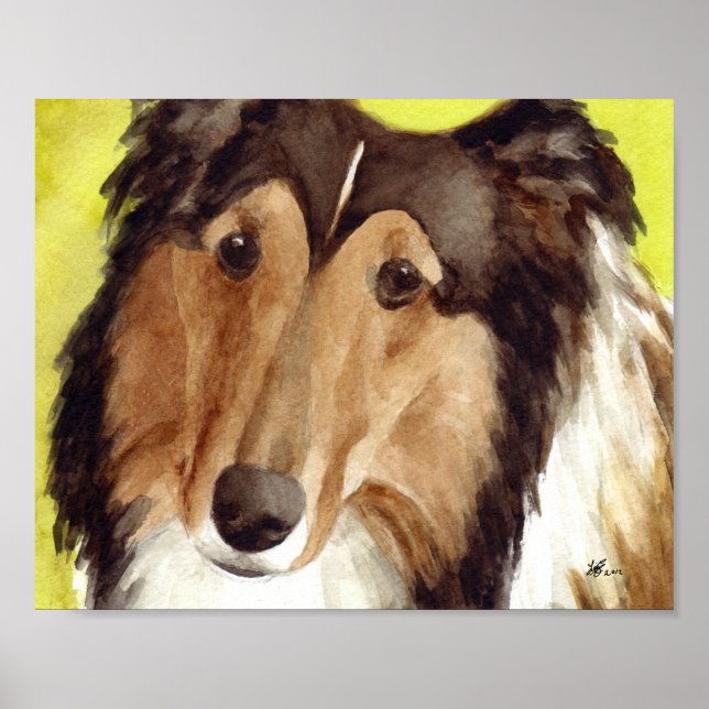 Poster Art Collie (Devant)