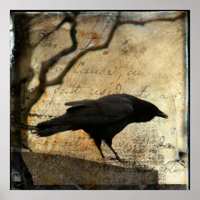 Poster Art coréen (Devant)