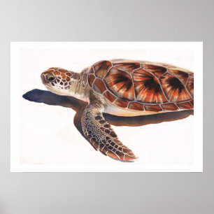 Poster Art d'aquarelle de faune de tortue de mer