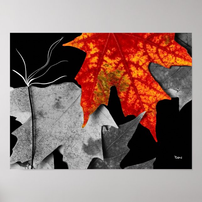 Poster Art d'automne (Devant)
