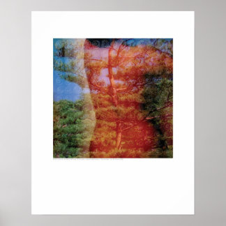 Poster Art de couverture - Arbre et dos - Griego