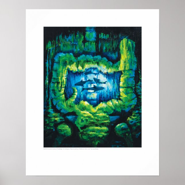 Poster Art de la couverture de rayons X - Grotte de côlon (Devant)