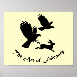 Poster Art de la Fauconnerie - Harris Hawks
