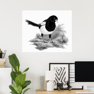 Poster Art de la nature de l'oiseau curieux pie à l'aquar