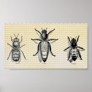 Poster Art de l'abeille vintage