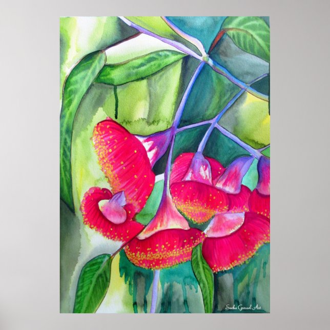 Poster Art de l'aquarelle rouge australien (Devant)