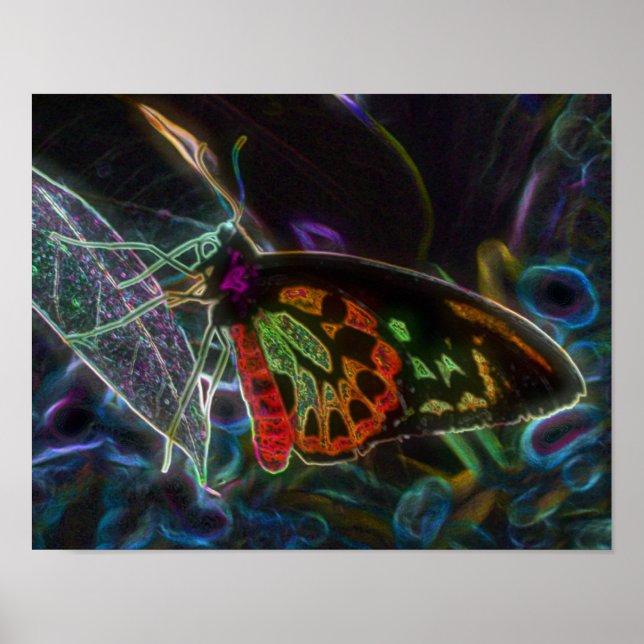 Poster Art de l'Imaginaire papillon Abstrait noir (Devant)