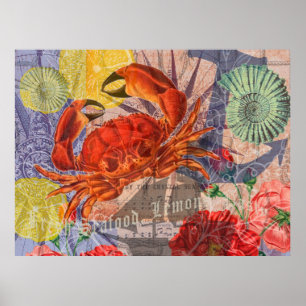 Poster Art de mer de plage nautique de crabe