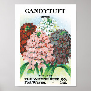 Poster Art de pochette de graines vintage, fleurs de jard