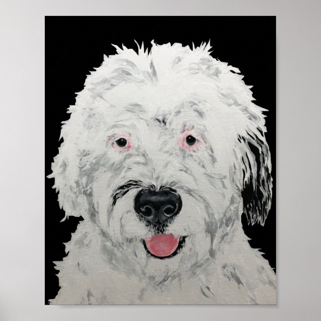 Poster Art de Sheepadoodle (Devant)