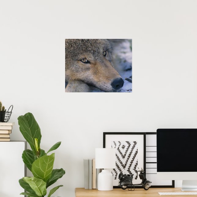 Poster Art de Wolf Lovers (Bureau à domicile)