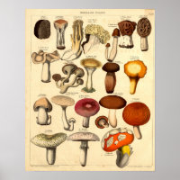 Art des champignons de l'époque victorienne vintag