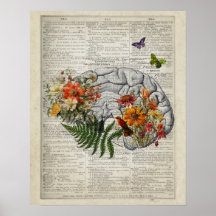 Art du dictionnaire d'anatomie cérébrale avec fleu