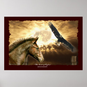 Poster Art espagnol Mustang Horse & Bald Eagle Imprimer