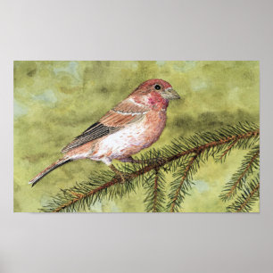 Poster Art Finch violet