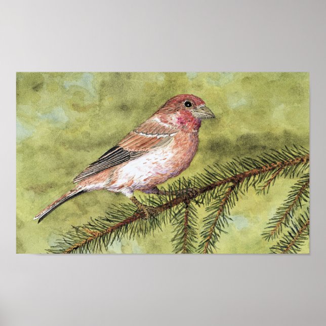 Poster Art Finch violet (Devant)