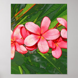 Poster Art Frangipanier Tropical Rose