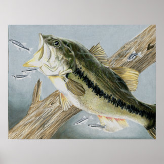 Poster Art gagnant par A. Backus 12e année