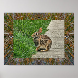 Poster Art lapin