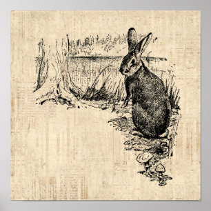 Poster Art lapin vintage illustré