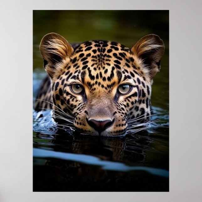 Poster Art Leopard (Devant)