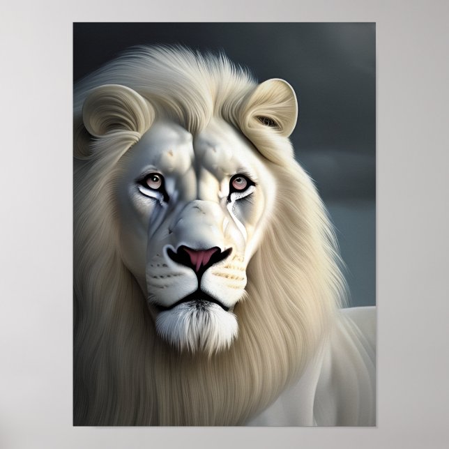Poster Art majestueux Lion blanc (Devant)
