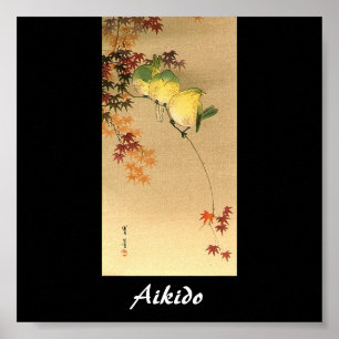 Poster Art martial de Japonais d'Aikido