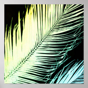 Poster art moderne et tropical en feuilles de palmes