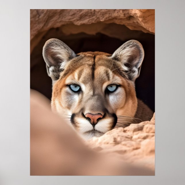 Poster Art Mountain Lion (Front)