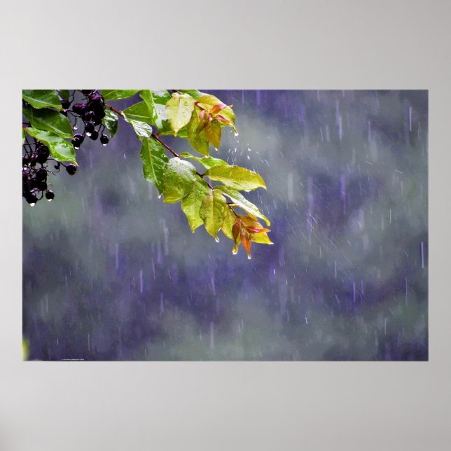 Poster Art mur (Devant)