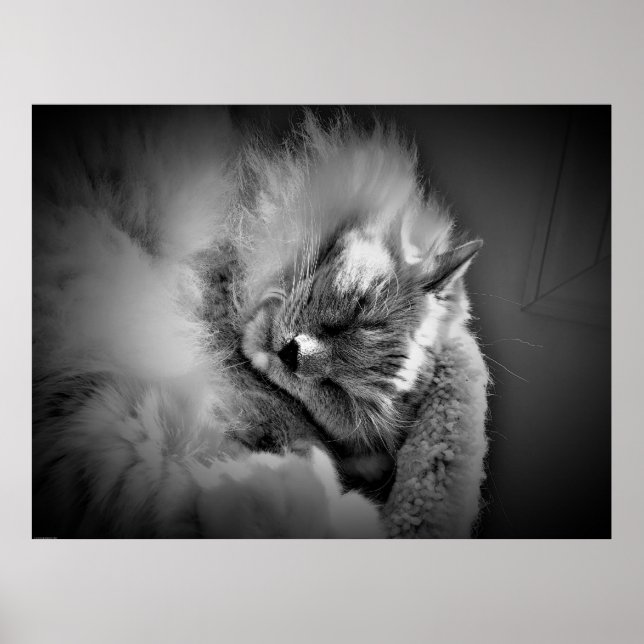 Poster Art mur (Devant)