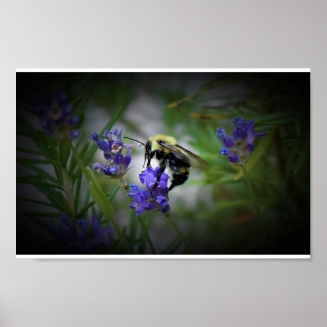 Poster Art mur (Devant)