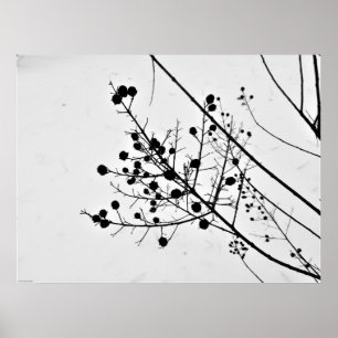 Poster Art mur