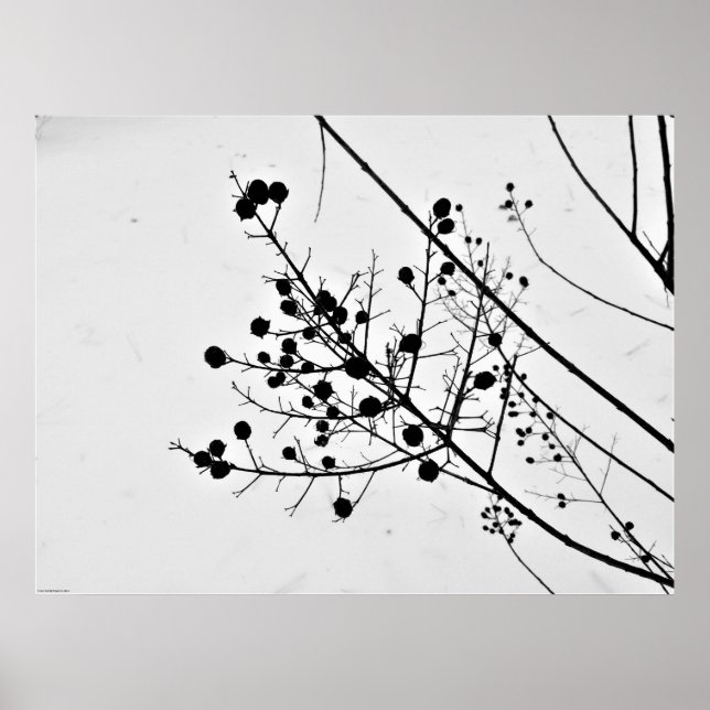 Poster Art mur (Devant)