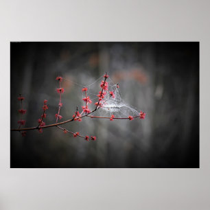 Poster Art mur
